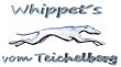 whippets-vom-teichelberg