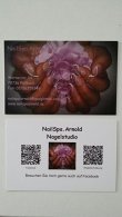 nailspa-arnold