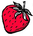 laggels-bio-erdbeeren
