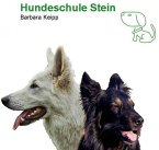 hundeschule-stein