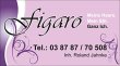 salon-figaro