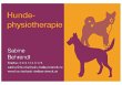 hundephysiotherapie-dreilaendereck