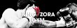 king-zora-gym