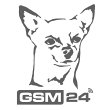 gsm-24