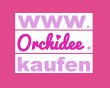 orchidee-kaufen