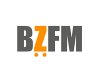 bzfm-gmbh