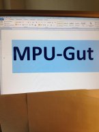 mpu-beratung-dr-deniz