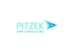 pitzek-gmp-consulting