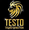testo-transformation