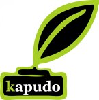 kapudo-it-studio