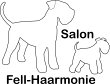 salon-fell-haarmonie