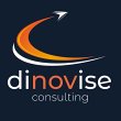 dinovise-consulting