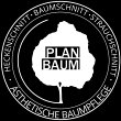 planbaum---aesthetische-baumpflege