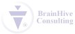 brainhive-consulting-gmbh