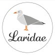 laridae-dein-quilting-shop