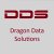 dragon-data-solutions-gmbh