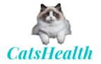 catshealth---futtermenge-fuer-katzen