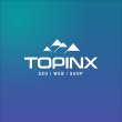 topinx---seo-hannover