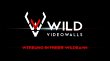 wild-videowalls