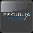 pecunia-flow-unternehmensberatung