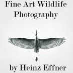 heinz-effner-fine-art-photography