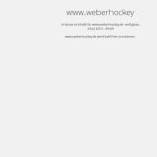 thorsten-weber-eishockeyartikelvertrieb